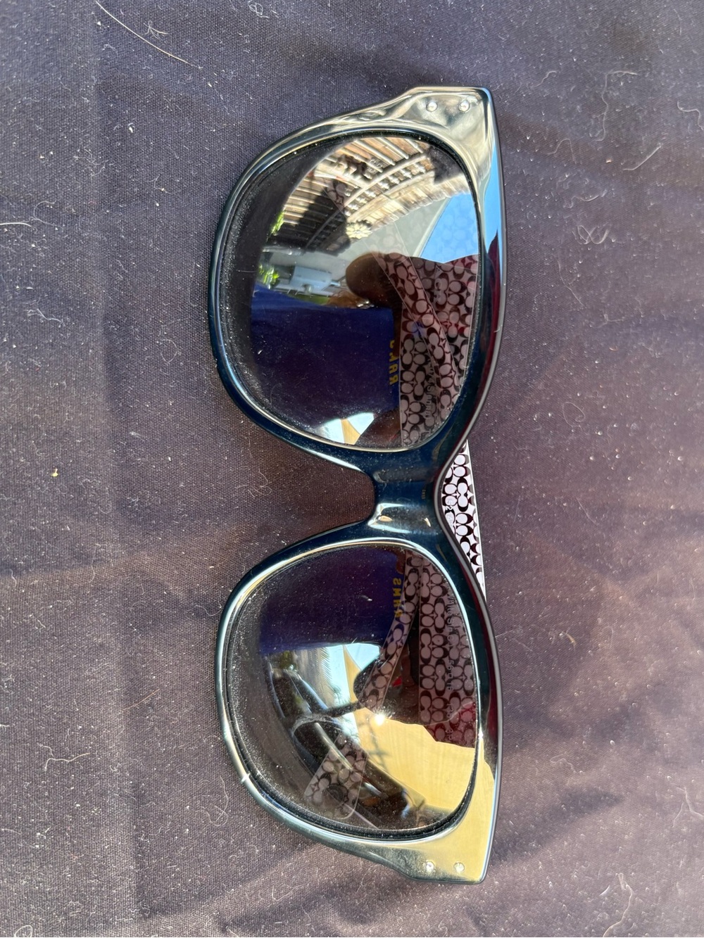 Coach Oversized Sunglasses Black
